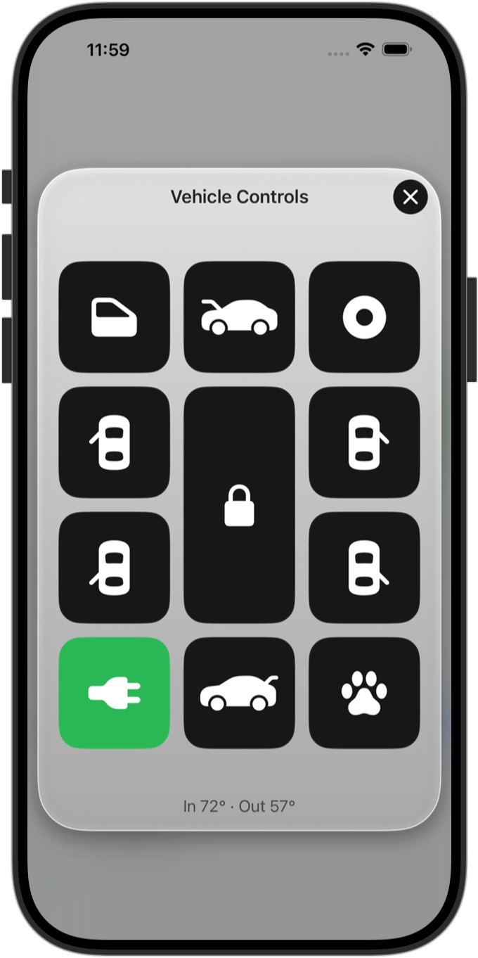 10-1. Vehicle Controls (Connected plan)